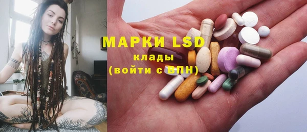 apvp Бородино