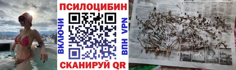 omg сайт  Губкинский  darknet состав  Псилоцибиновые грибы Psilocybe 